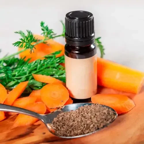 Carrot seed oil